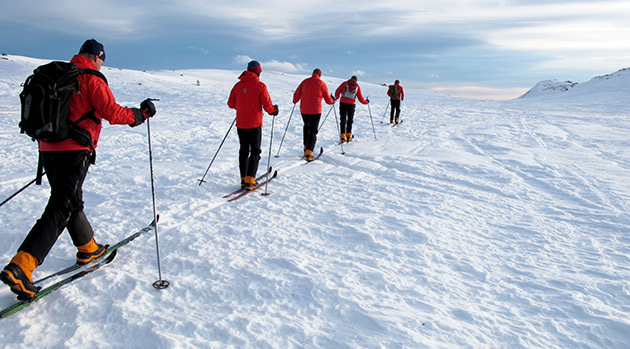 The 65 Degrees North expedition team on skis moving across snow and ice