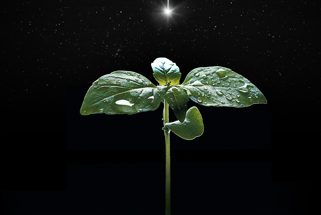 Can space help save the planet?
