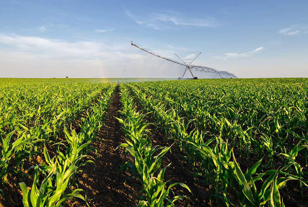 Irrigation and water management