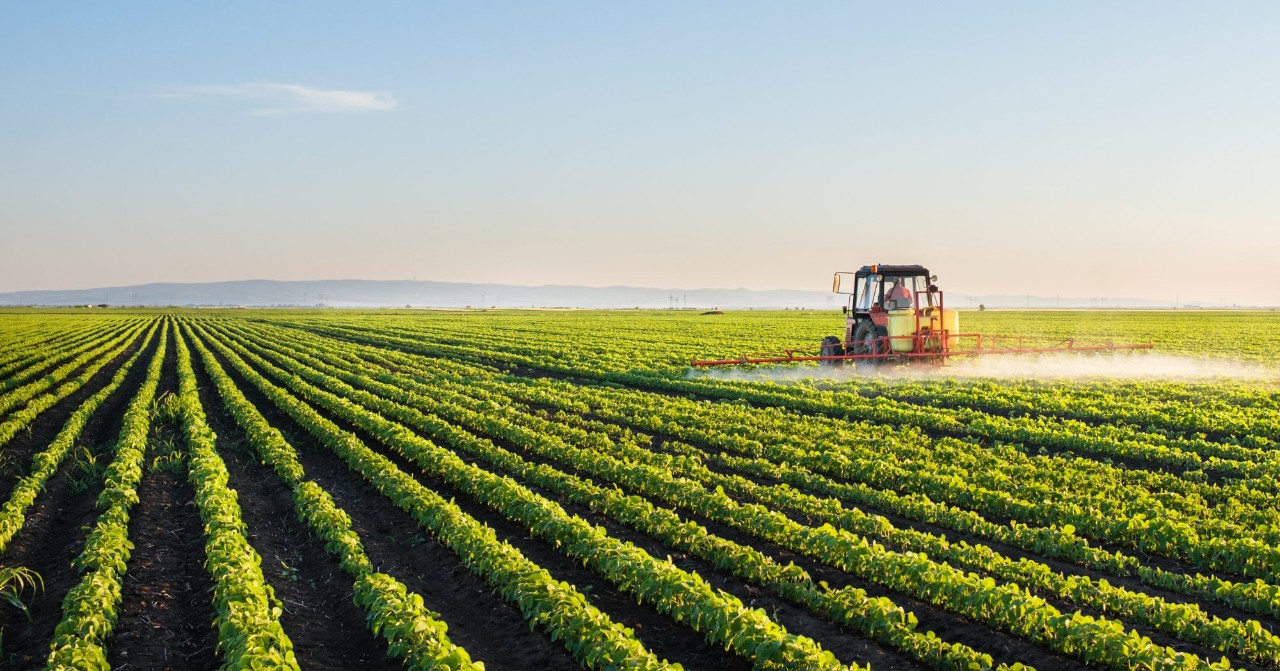 Tractor spreading feed across a field