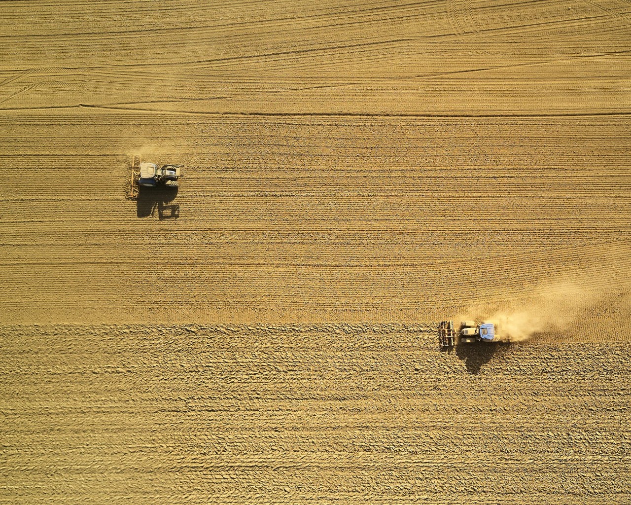 Looking down at combine harvesters harvesting