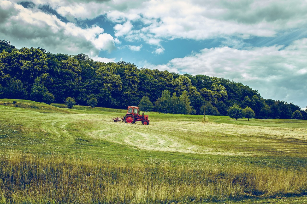 Tractor in field