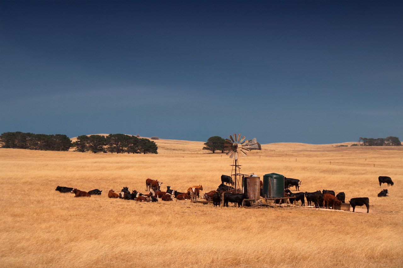 Farm in Australia