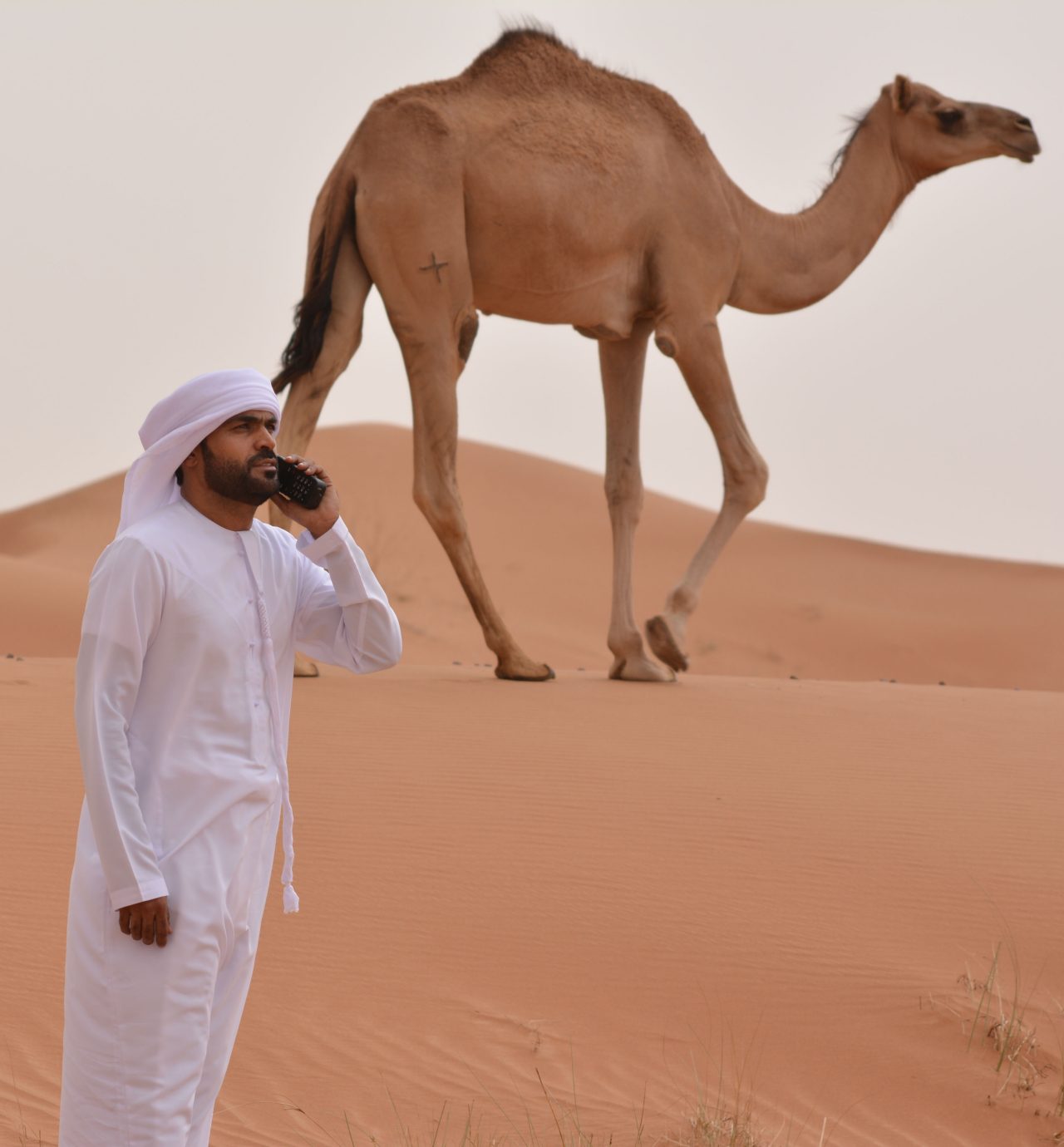 Saeed Al Memari using his IsatPhone 2 in the desert with a camel in the background