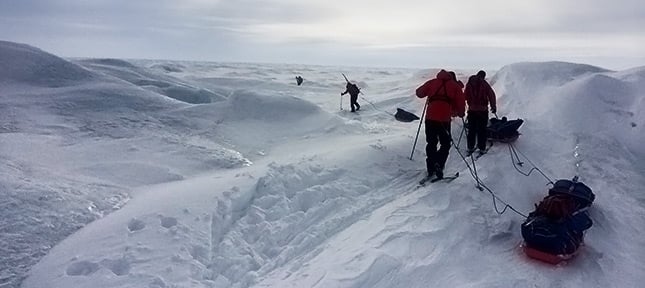 The 65 Degrees North Greenland Pulks Team 