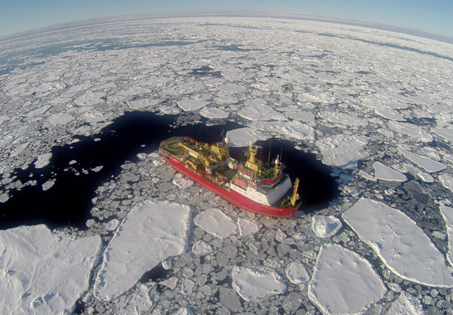 Second placed entry in the Nautilius Life at Sea photography competition