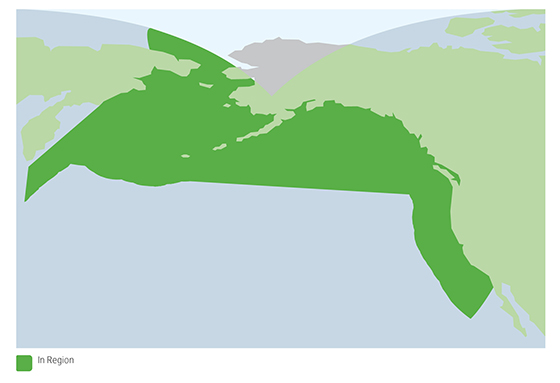 A map showing the coverage of Fleet One in the North West Pacific region.