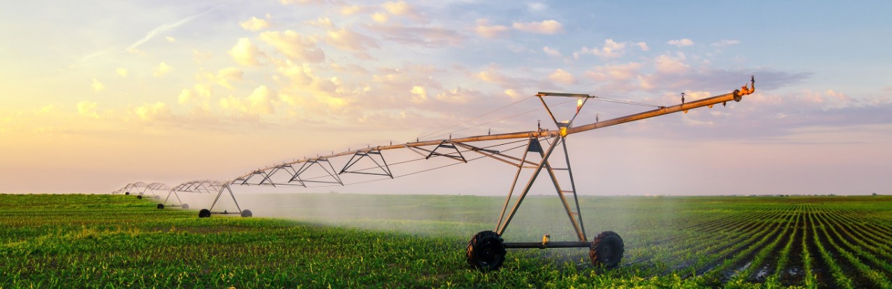 Crop water sprayer operating in field